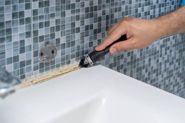 Best Office Mold Removal Services  in San Luis, AZ
