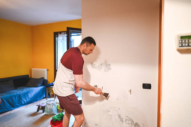 Best Residential Mold Removal  in San Luis, AZ